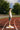 195 Running Singlet CPH