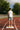 195 Running Singlet CPH